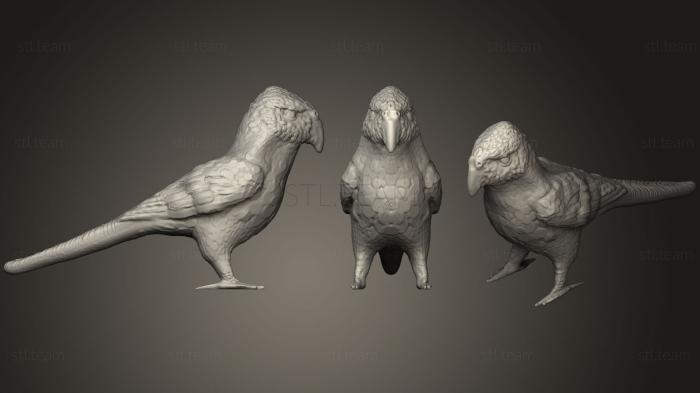 3D модель Фигурка попугая (STL)